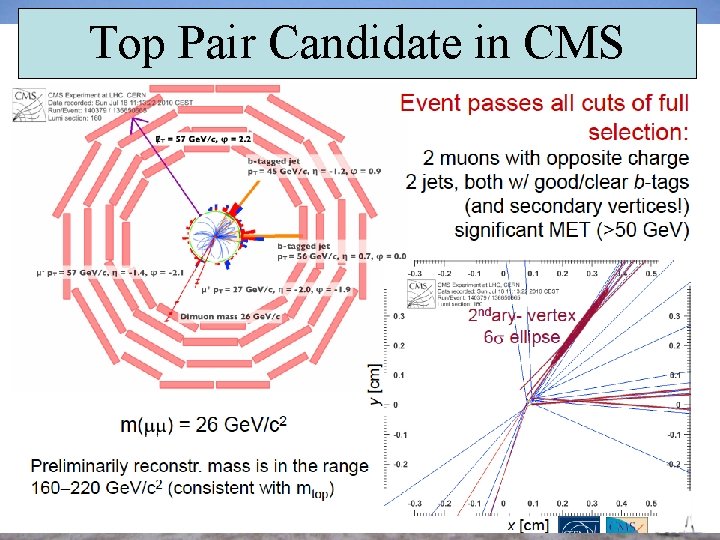 Top Pair Candidate in CMS 