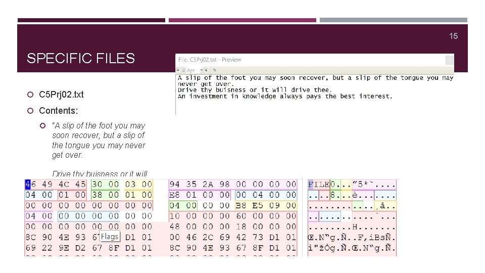 15 SPECIFIC FILES C 5 Prj 02. txt Contents: “A slip of the foot