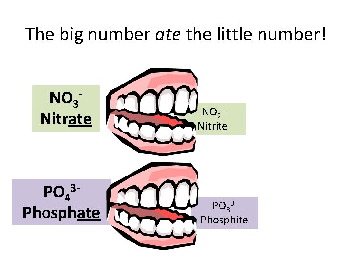 The big number ate the little number! NO 3 Nitrate PO 43 Phosphate NO