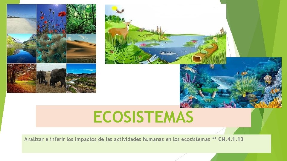 ECOSISTEMAS Analizar e inferir los impactos de las actividades humanas en los ecosistemas **