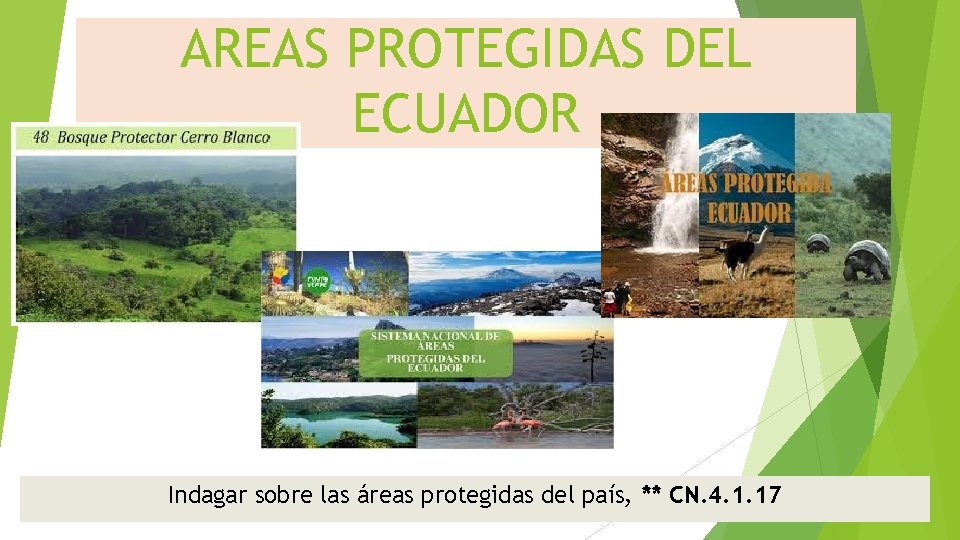 AREAS PROTEGIDAS DEL ECUADOR Indagar sobre las áreas protegidas del país, ** CN. 4.