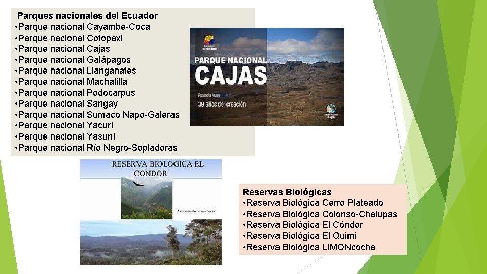 Parques nacionales del Ecuador • Parque nacional Cayambe-Coca • Parque nacional Cotopaxi •