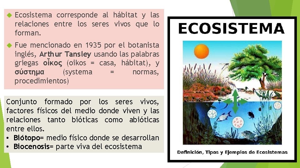  Ecosistema corresponde al hábitat y las relaciones entre los seres vivos que lo