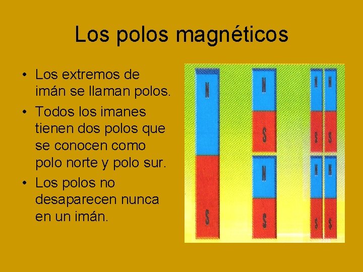 Los polos magnéticos • Los extremos de imán se llaman polos. • Todos los