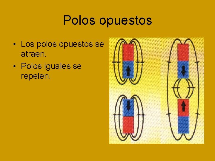 Polos opuestos • Los polos opuestos se atraen. • Polos iguales se repelen. 