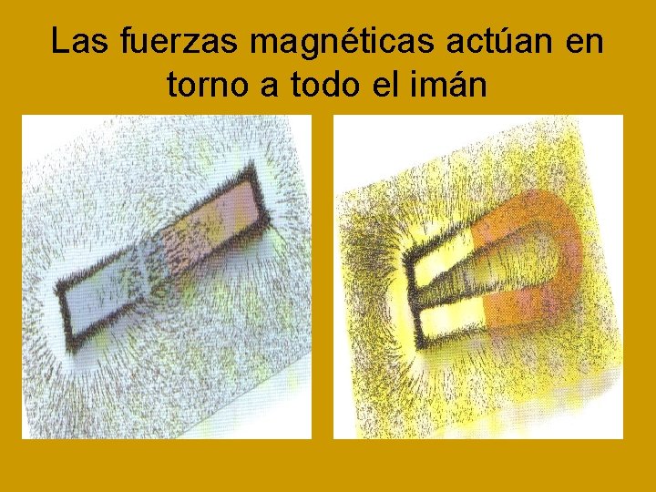 Las fuerzas magnéticas actúan en torno a todo el imán 