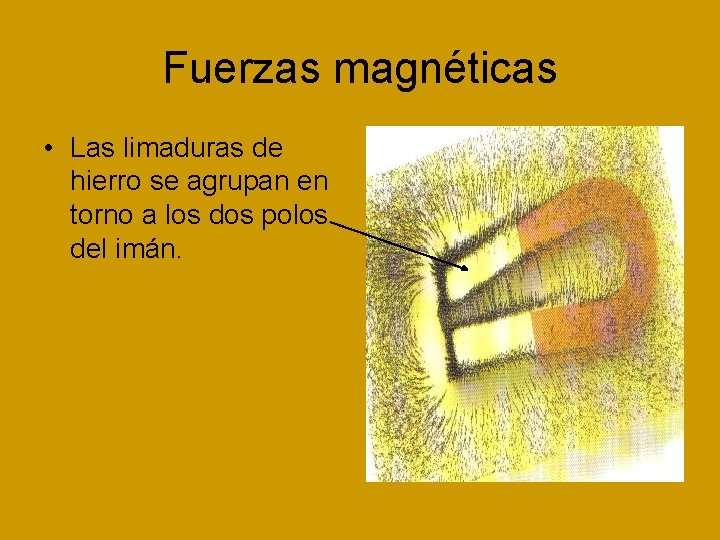 Fuerzas magnéticas • Las limaduras de hierro se agrupan en torno a los dos