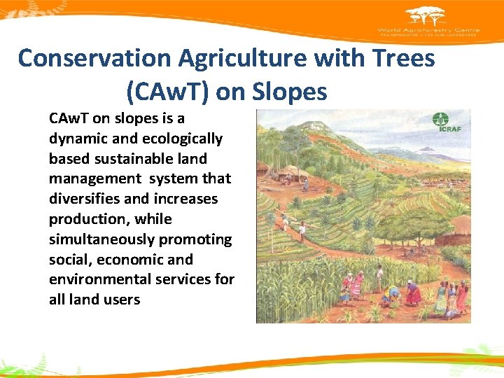 Conservation Agriculture with Trees (CAw. T) on Slopes CAw. T on slopes is a