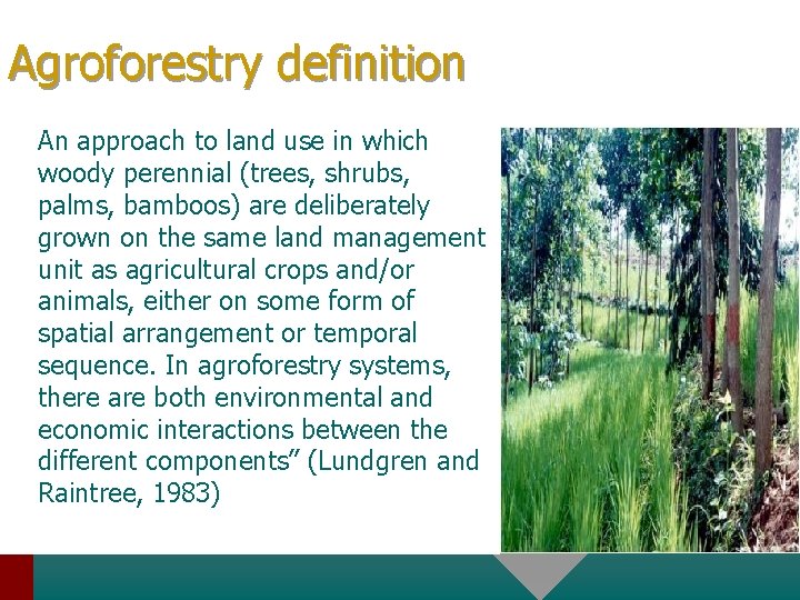 Agroforestry definition • An approach to land use in which woody perennial (trees, shrubs,