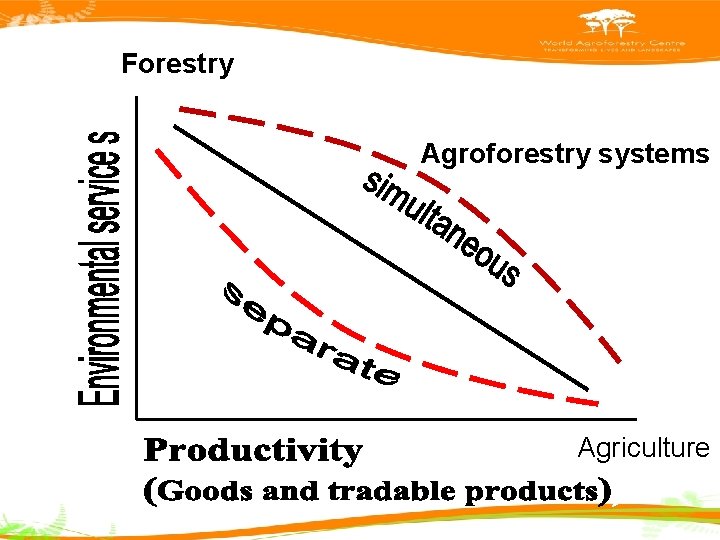Forestry Agroforestry systems Agriculture 
