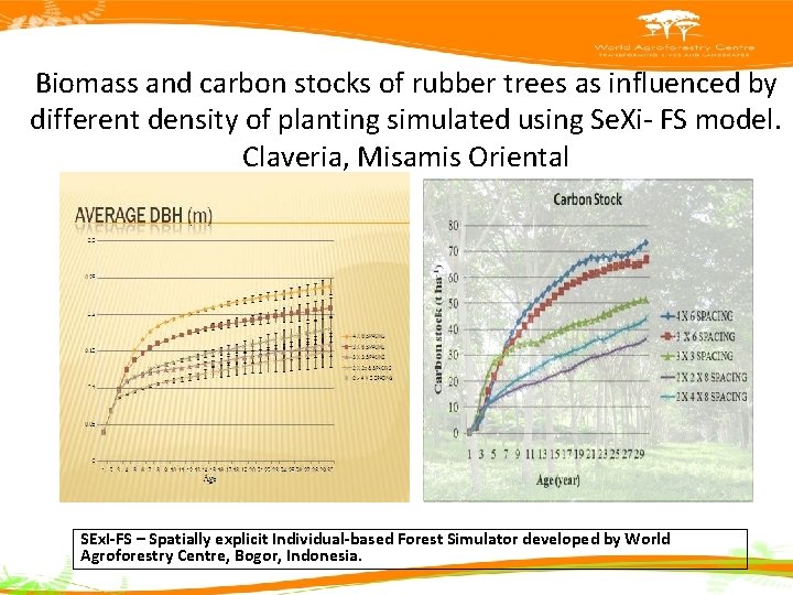 Biomass and carbon stocks of rubber trees as influenced by different density of planting