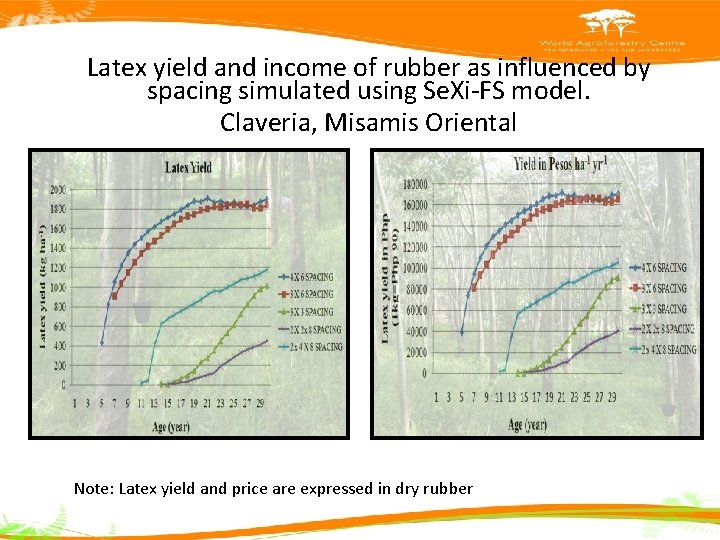 Latex yield and income of rubber as influenced by spacing simulated using Se. Xi-FS