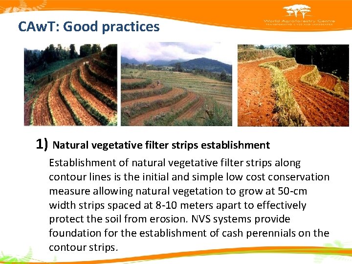 CAw. T: Good practices 1) Natural vegetative filter strips establishment Establishment of natural vegetative