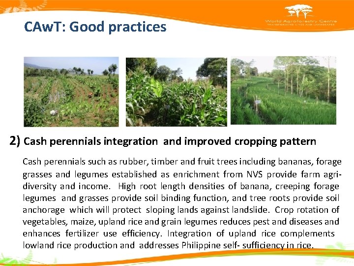 CAw. T: Good practices 2) Cash perennials integration and improved cropping pattern Cash perennials