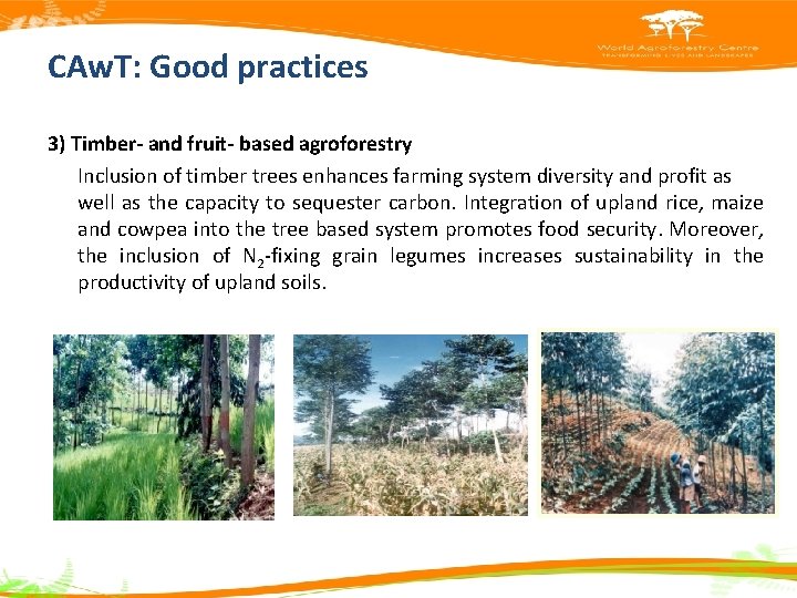 CAw. T: Good practices 3) Timber- and fruit- based agroforestry Inclusion of timber trees