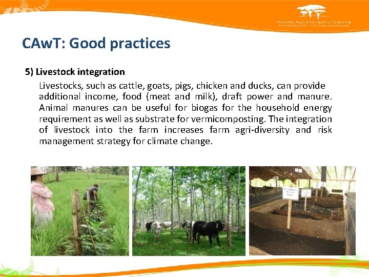 CAw. T: Good practices 5) Livestock integration Livestocks, such as cattle, goats, pigs, chicken