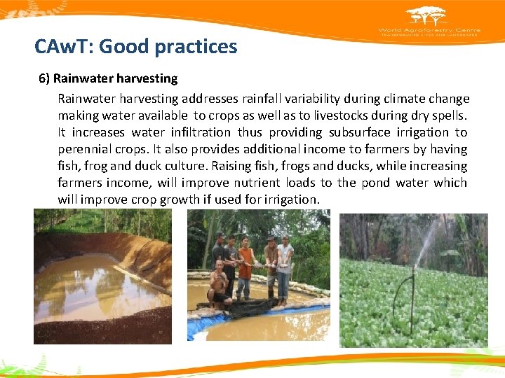 CAw. T: Good practices 6) Rainwater harvesting addresses rainfall variability during climate change making