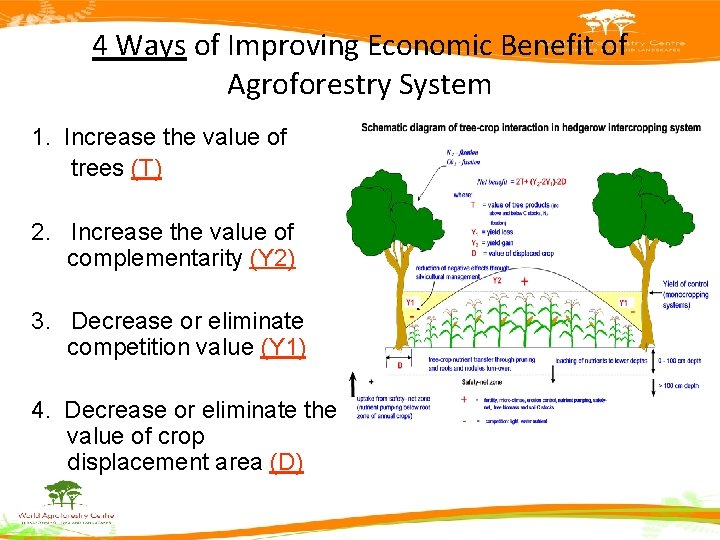 4 Ways of Improving Economic Benefit of Agroforestry System 1. Increase the value of