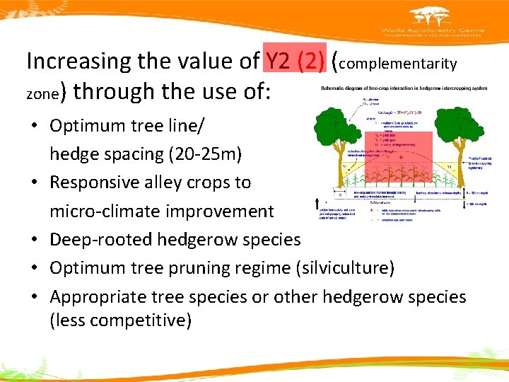 Increasing the value of Y 2 (2) (complementarity zone) through the use of: •