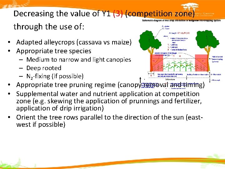 Decreasing the value of Y 1 (3) (competition zone) through the use of: •