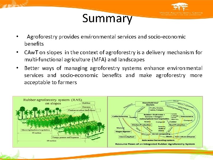 Summary Agroforestry provides environmental services and socio-economic benefits • CAw. T on slopes in