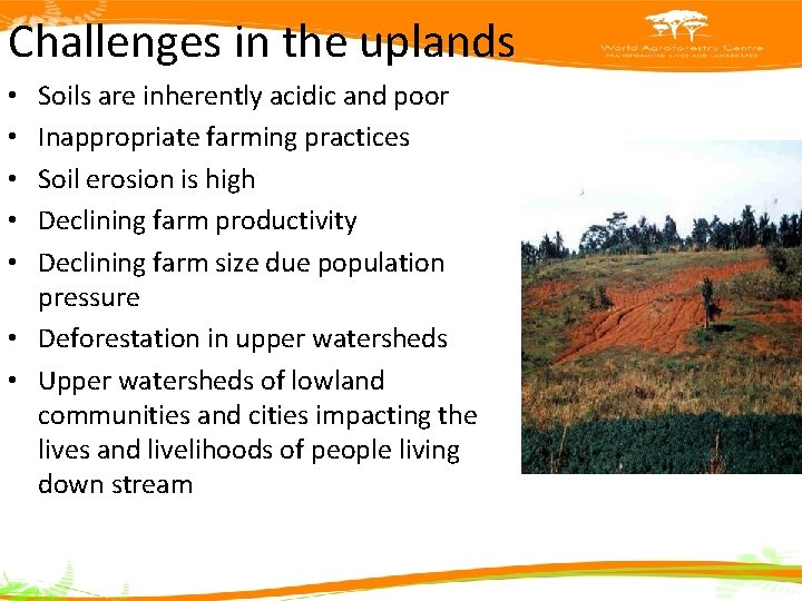 Challenges in the uplands Soils are inherently acidic and poor Inappropriate farming practices Soil