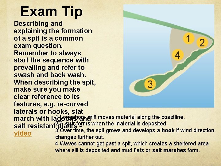 Exam Tip Describing and explaining the formation of a spit is a common exam