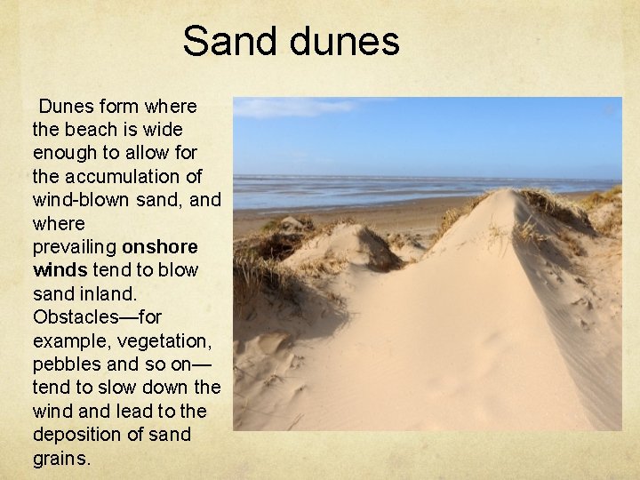 Sand dunes Dunes form where the beach is wide enough to allow for the