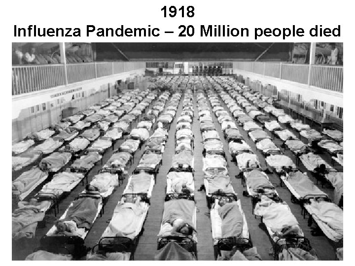 1918 Influenza Pandemic – 20 Million people died 
