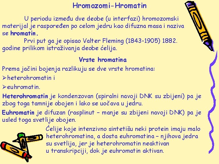 Hromozomi-Hromatin U periodu između dve deobe (u interfazi) hromozomski materijal je raspoređen po celom