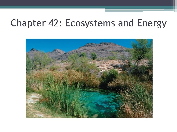 Chapter 42: Ecosystems and Energy 