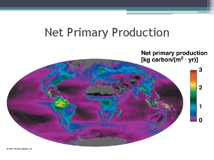 Net Primary Production 