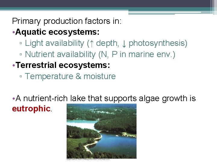 Primary production factors in: • Aquatic ecosystems: ▫ Light availability (↑ depth, ↓ photosynthesis)