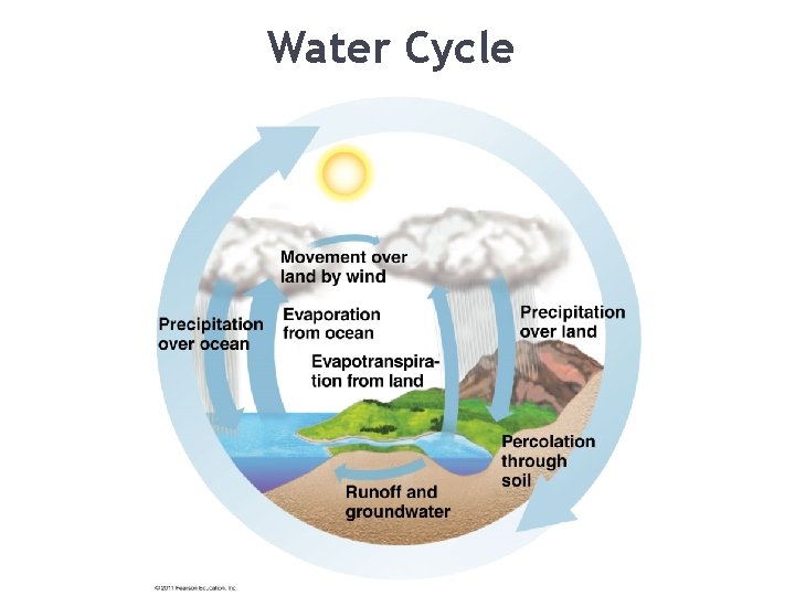 Water Cycle 