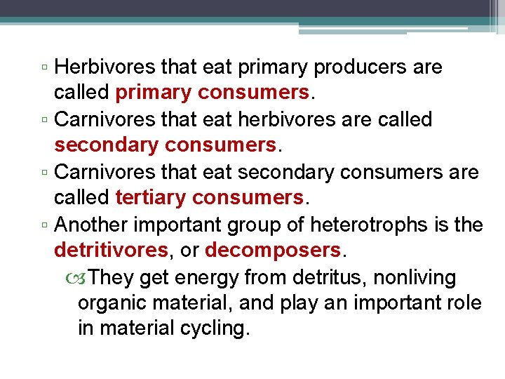 ▫ Herbivores that eat primary producers are called primary consumers. ▫ Carnivores that eat