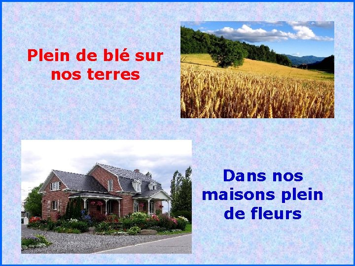 Plein de blé sur nos terres . . Dans nos maisons plein de fleurs