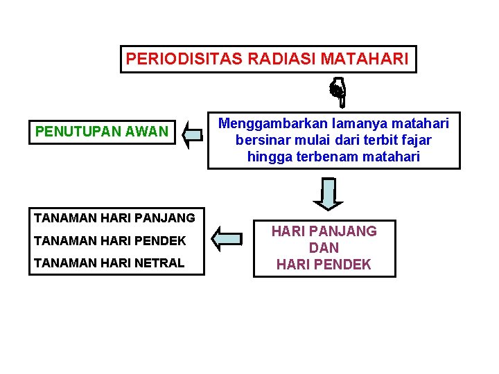 PERIODISITAS RADIASI MATAHARI PENUTUPAN AWAN TANAMAN HARI PANJANG TANAMAN HARI PENDEK TANAMAN HARI NETRAL