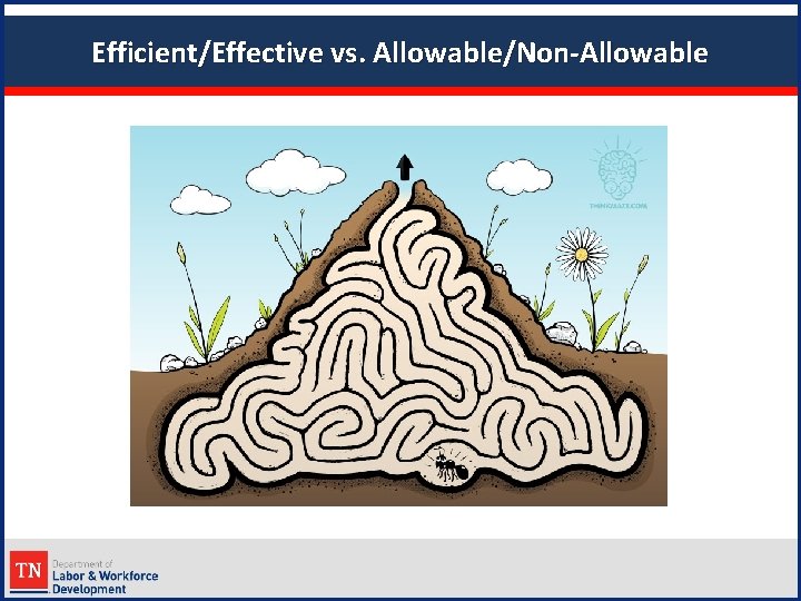 Efficient/Effective vs. Allowable/Non-Allowable 