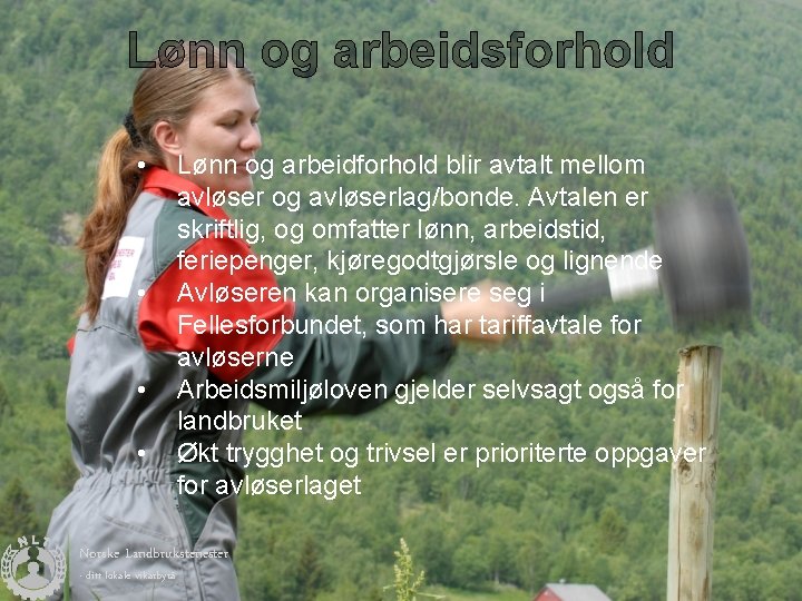 Lønn og arbeidsforhold • • Lønn og arbeidforhold blir avtalt mellom avløser og avløserlag/bonde.