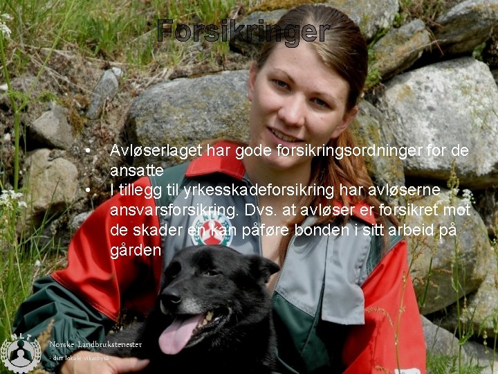 Forsikringer • • Avløserlaget har gode forsikringsordninger for de ansatte I tillegg til yrkesskadeforsikring