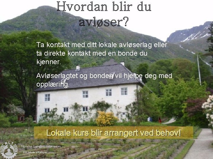 Hvordan blir du avløser? Ta kontakt med ditt lokale avløserlag eller ta direkte kontakt