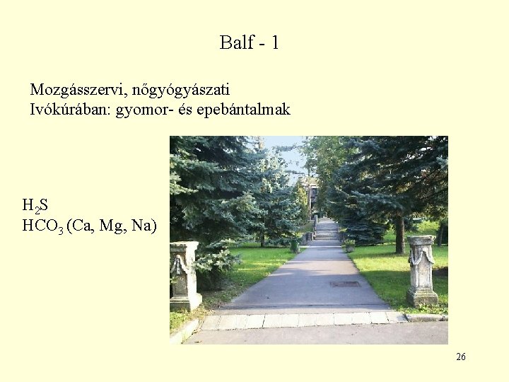 Balf - 1 Mozgásszervi, nőgyógyászati Ivókúrában: gyomor- és epebántalmak H 2 S HCO 3 Balf - 1 Mozgásszervi, nőgyógyászati Ivókúrában: gyomor- és epebántalmak H 2 S HCO 3