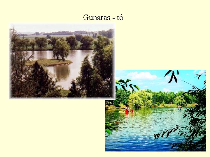 Gunaras - tó 35 