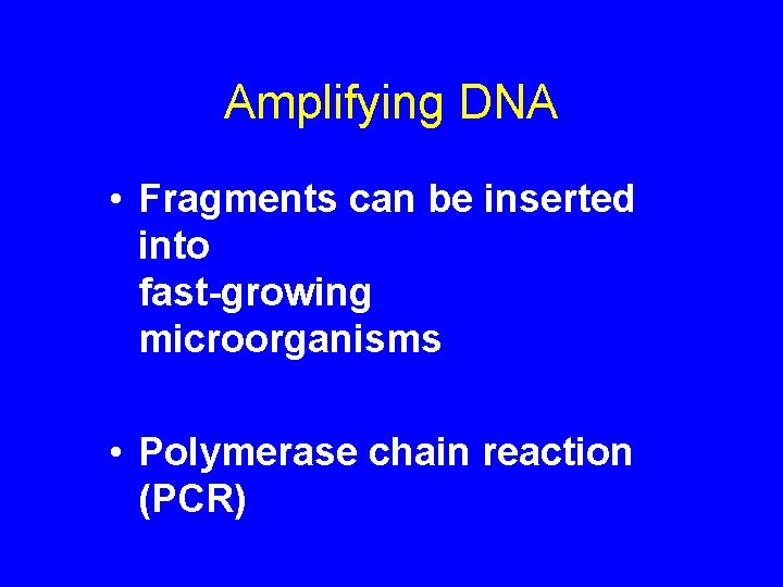 Amplifying DNA • Fragments can be inserted into fast-growing microorganisms • Polymerase chain reaction
