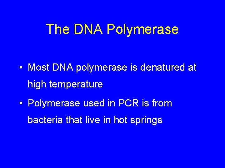 The DNA Polymerase • Most DNA polymerase is denatured at high temperature • Polymerase