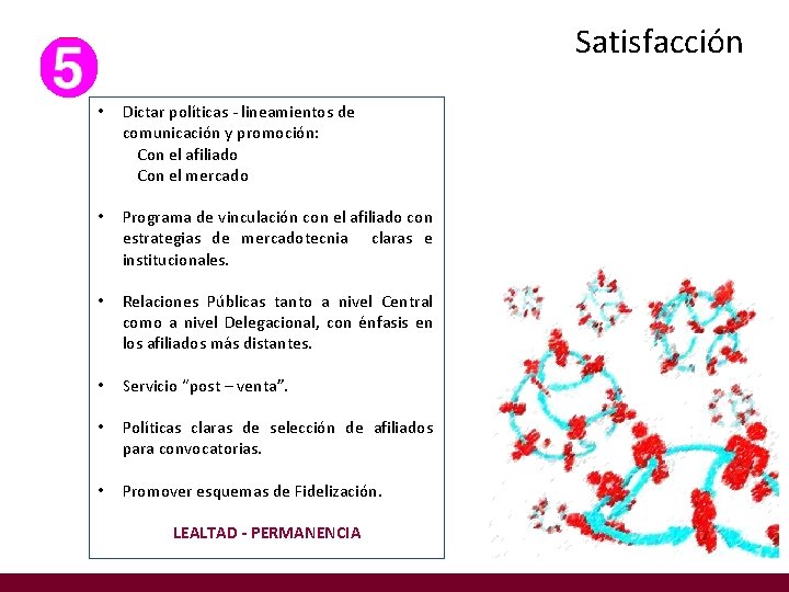 Satisfacción • Dictar políticas - lineamientos de comunicación y promoción: Con el afiliado Con