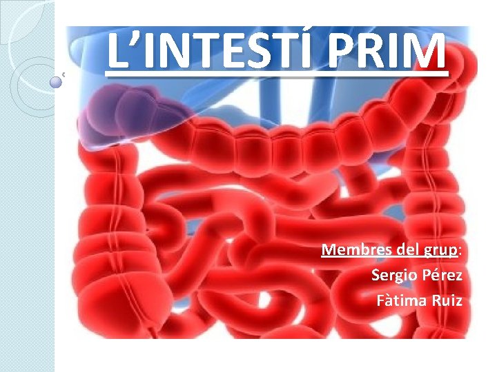 L’INTESTÍ PRIM Membres del grup: Sergio Pérez Fàtima Ruiz 