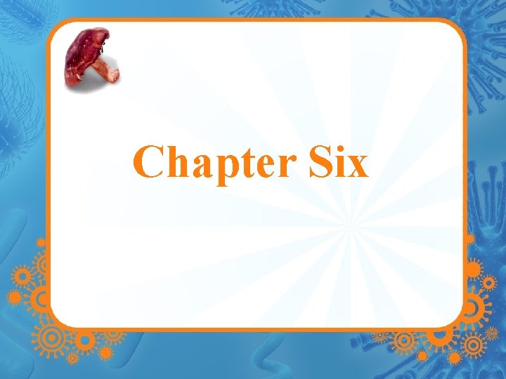 Chapter Six 