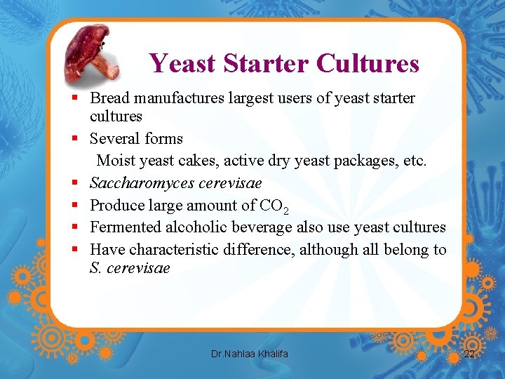 Yeast Starter Cultures § Bread manufactures largest users of yeast starter cultures § Several