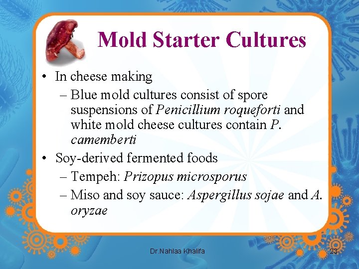 Mold Starter Cultures • In cheese making – Blue mold cultures consist of spore